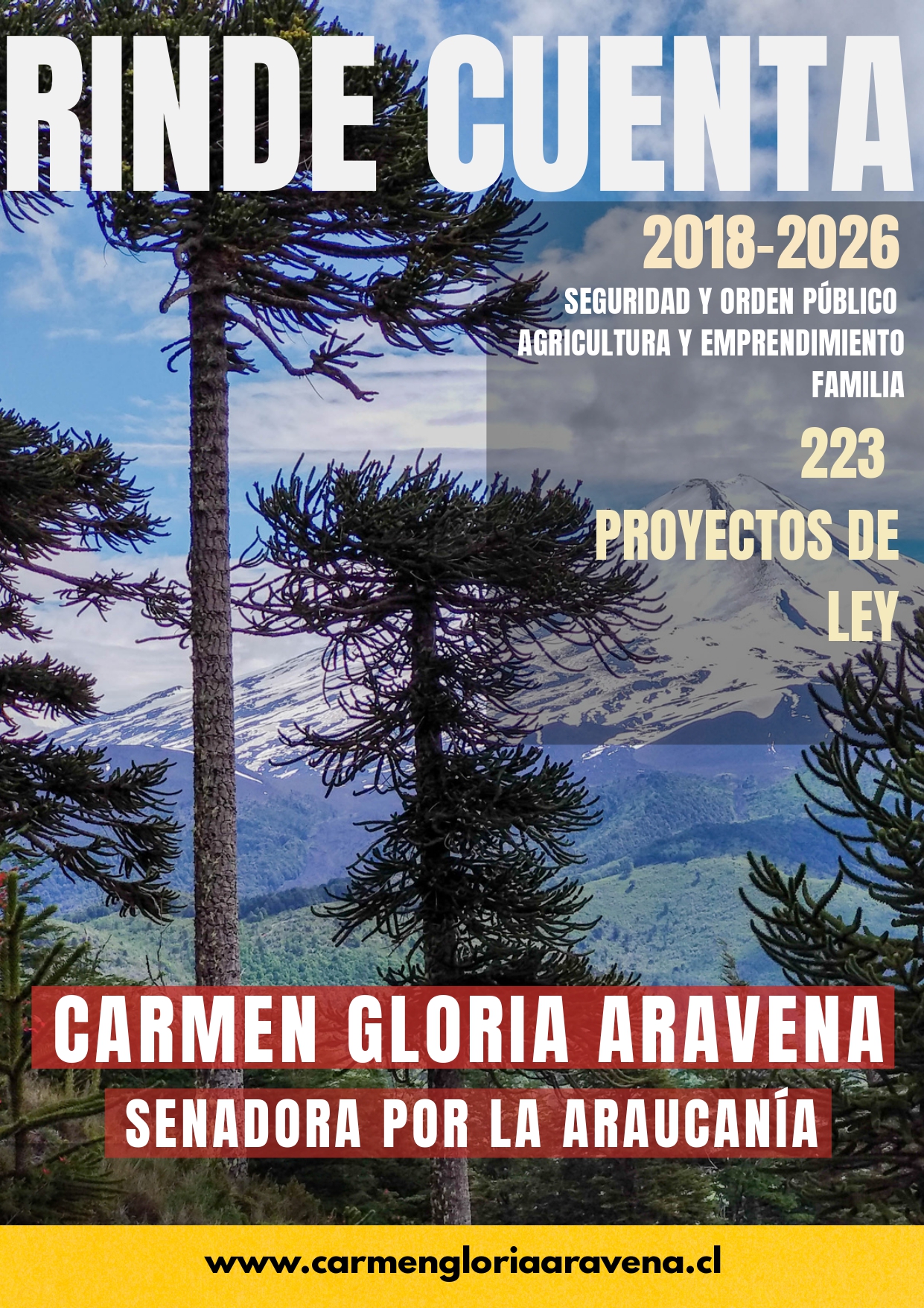 Portada Senadora Aravena