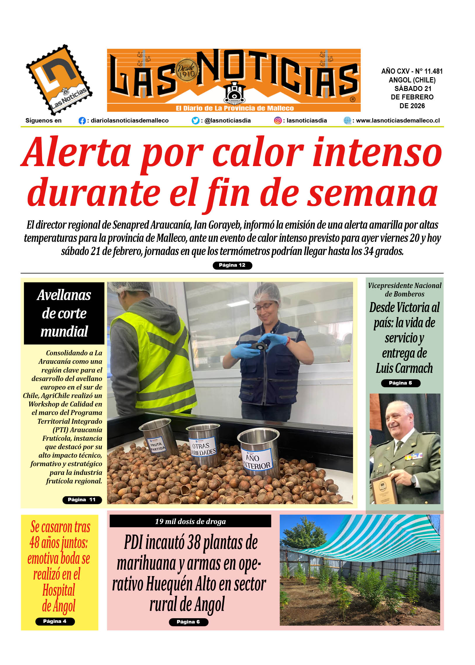 11481portada